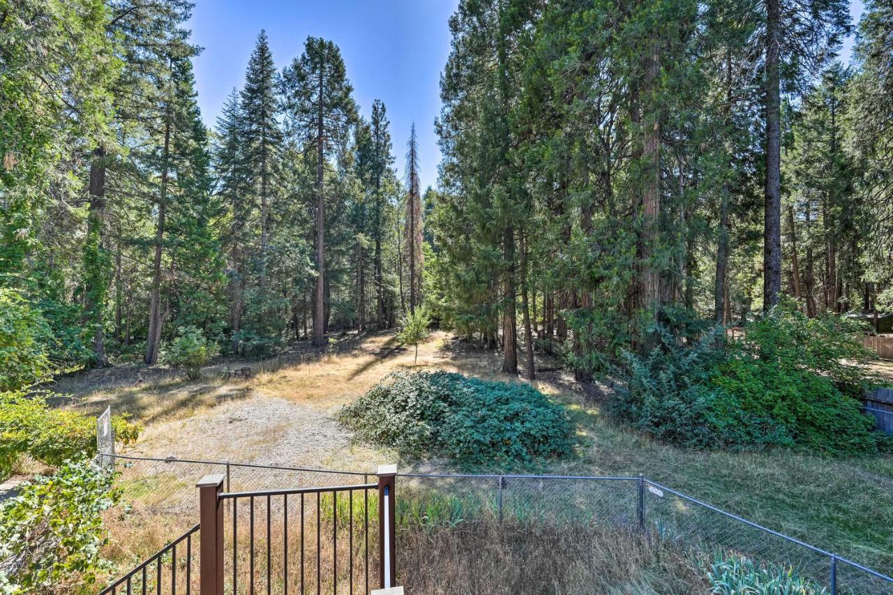 Nevada City Retreat Near Hiking And Yuba River! Eksteriør bilde